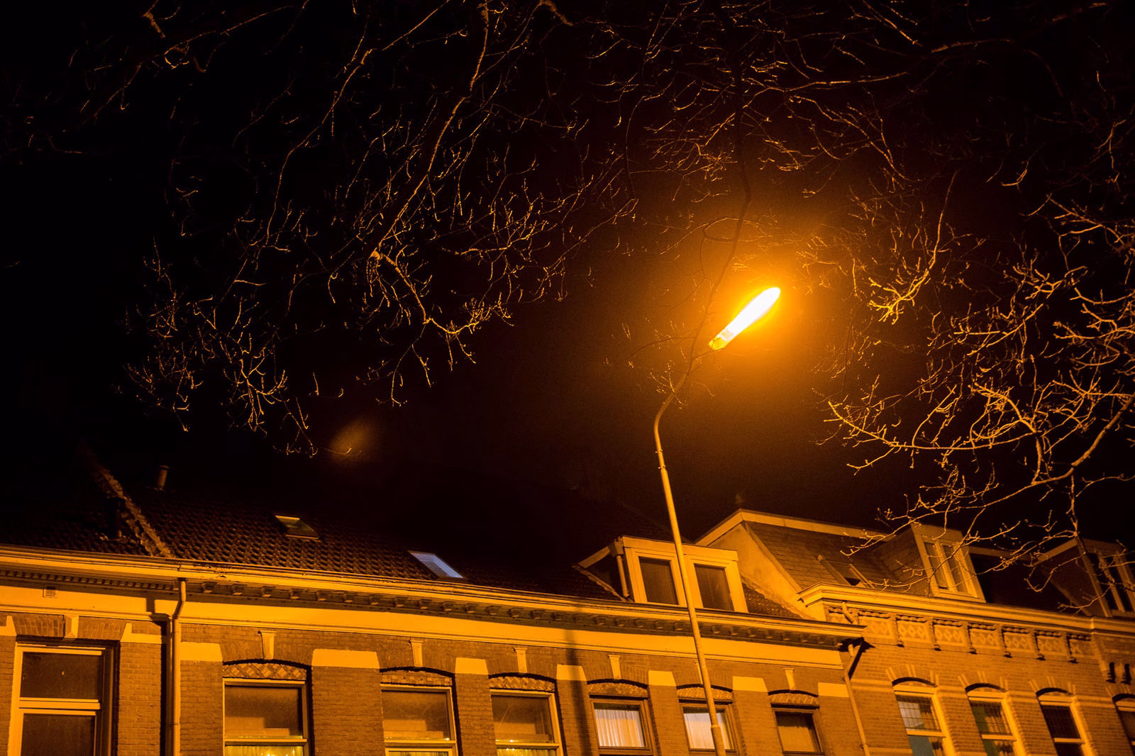 Foto: Peter de Krom