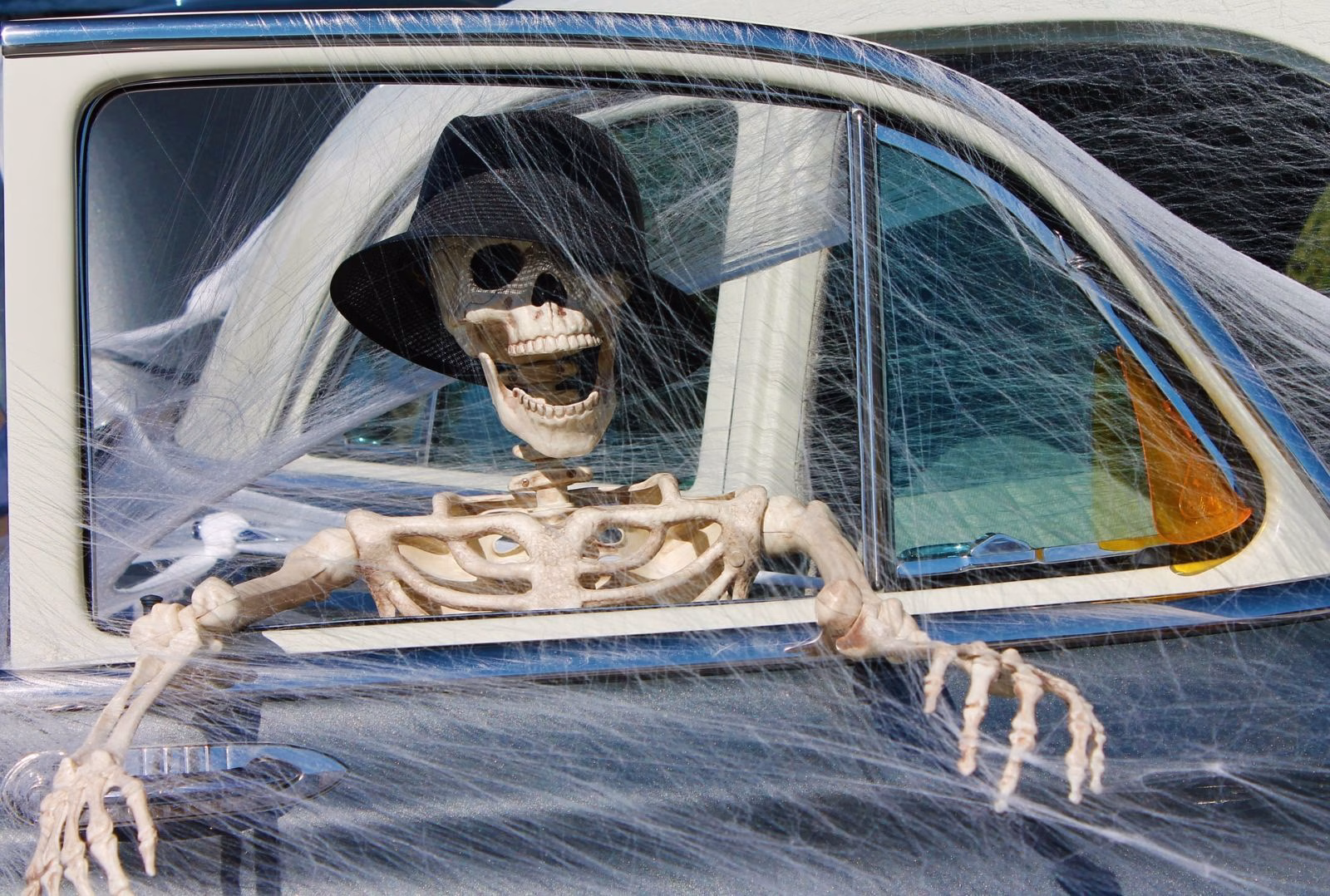 skeleton-1784621_1920