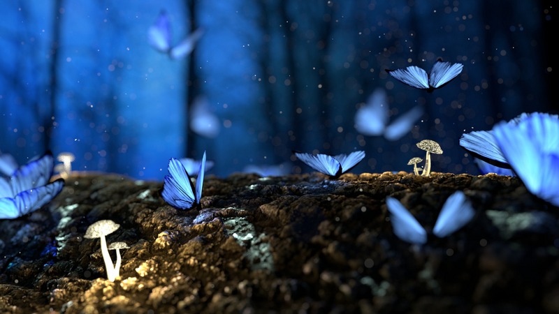 dream interpretation dream analysis