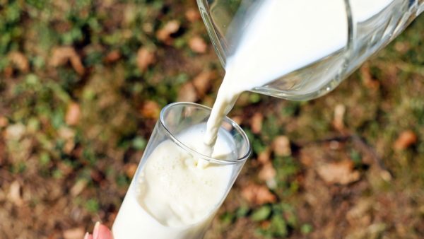Slimming down without dieting, tip of the week 29: Dairy products
