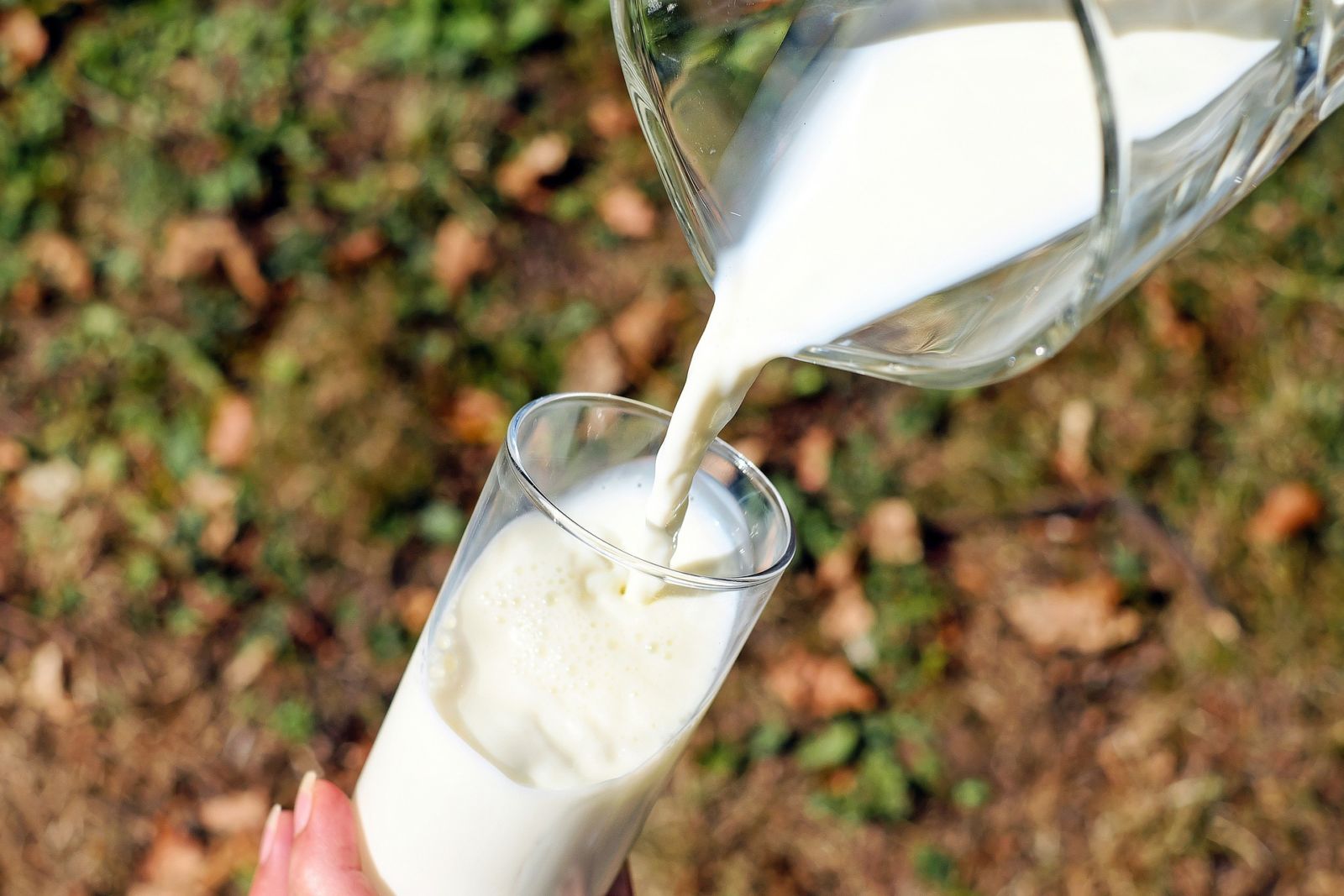 Slimming down without dieting, tip of the week 29: Dairy products