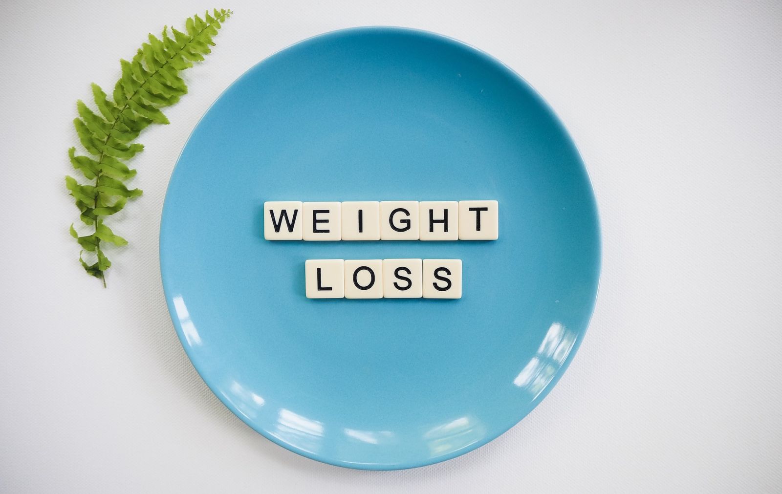 lose weight without dieting ten golden tips
