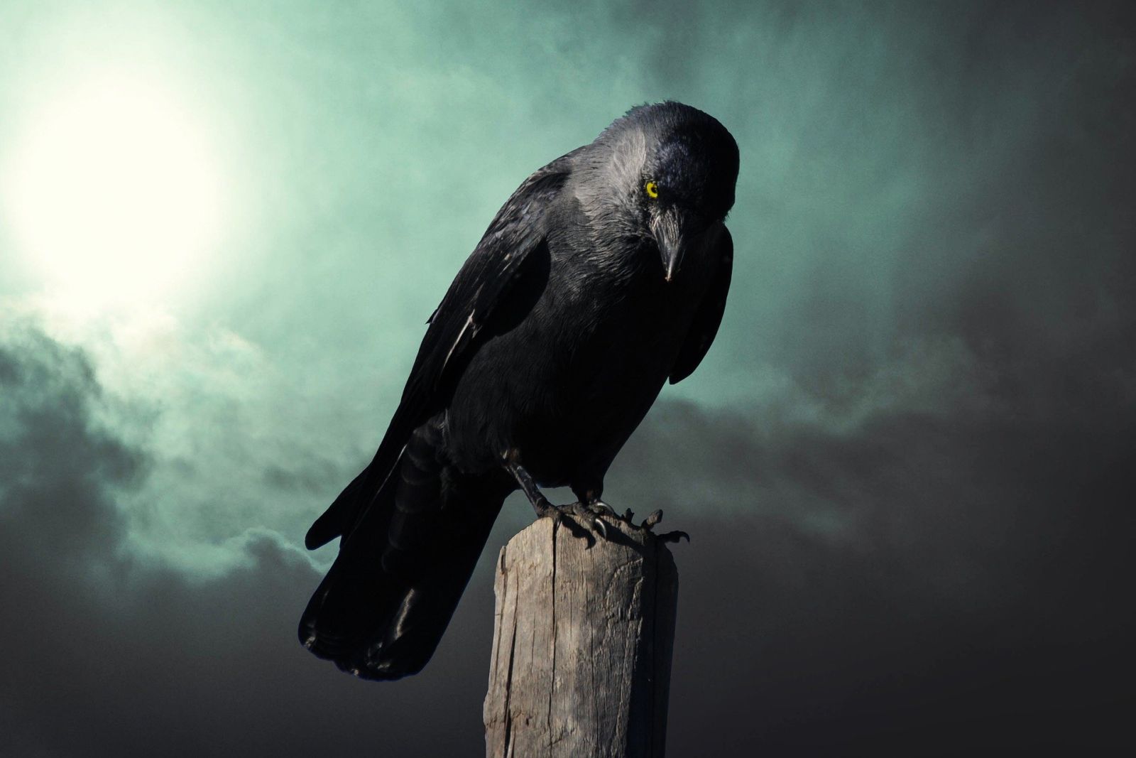 friday the 13th workshop