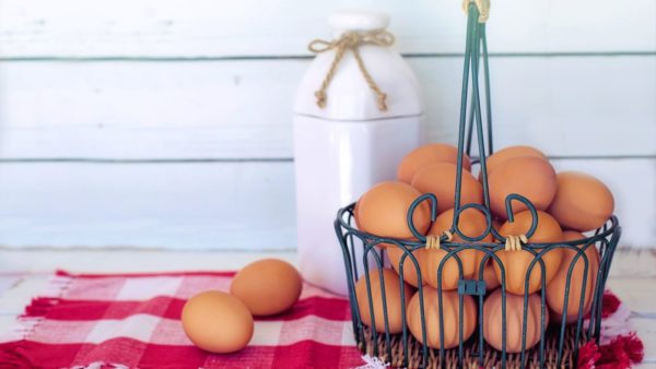 lose weight eggs