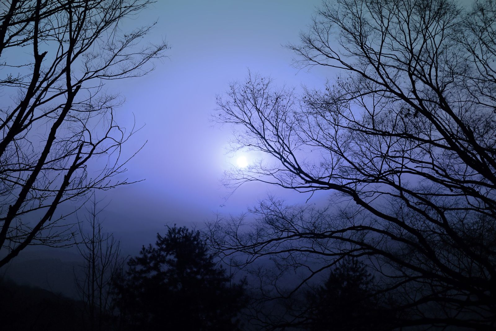 daghoroscoop op basis van de maan