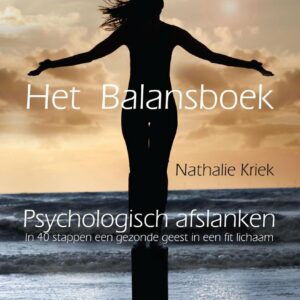Het Balansboek