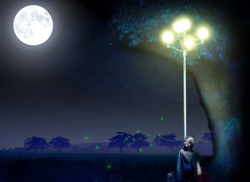 moonlight-2152461_1920