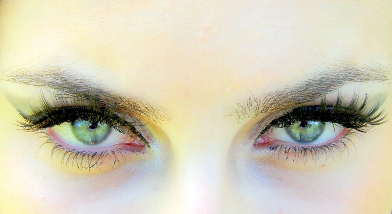 eye-755863_1920