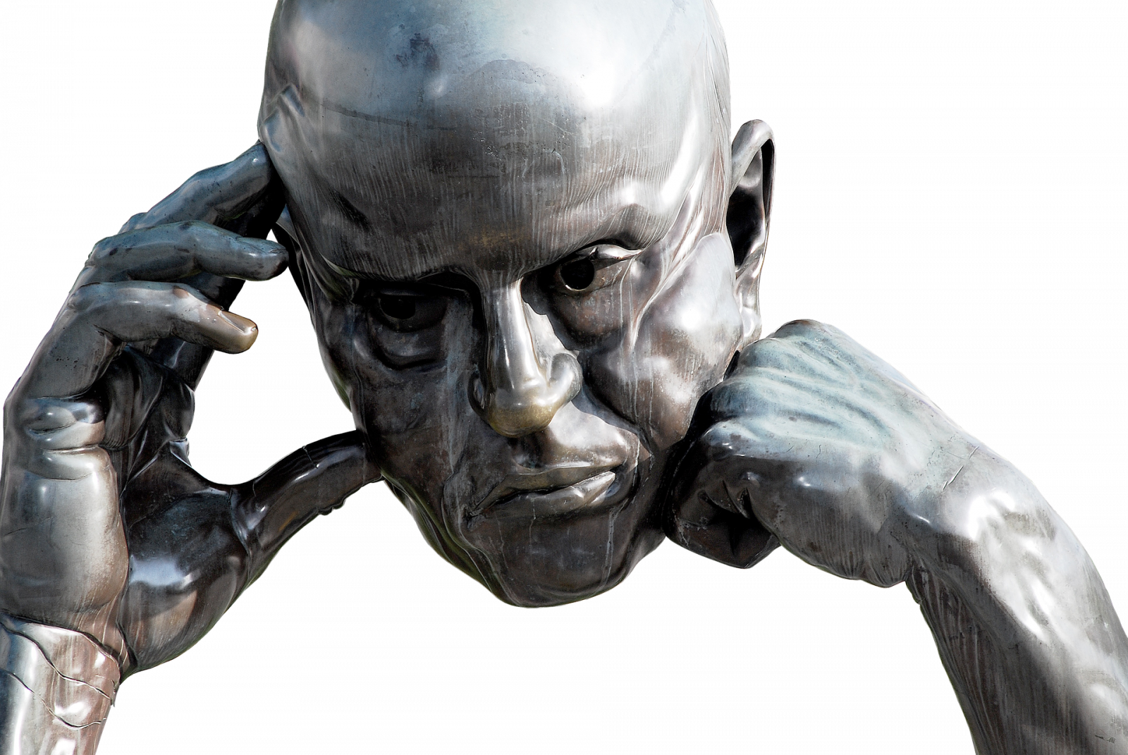 head-2428333_1920