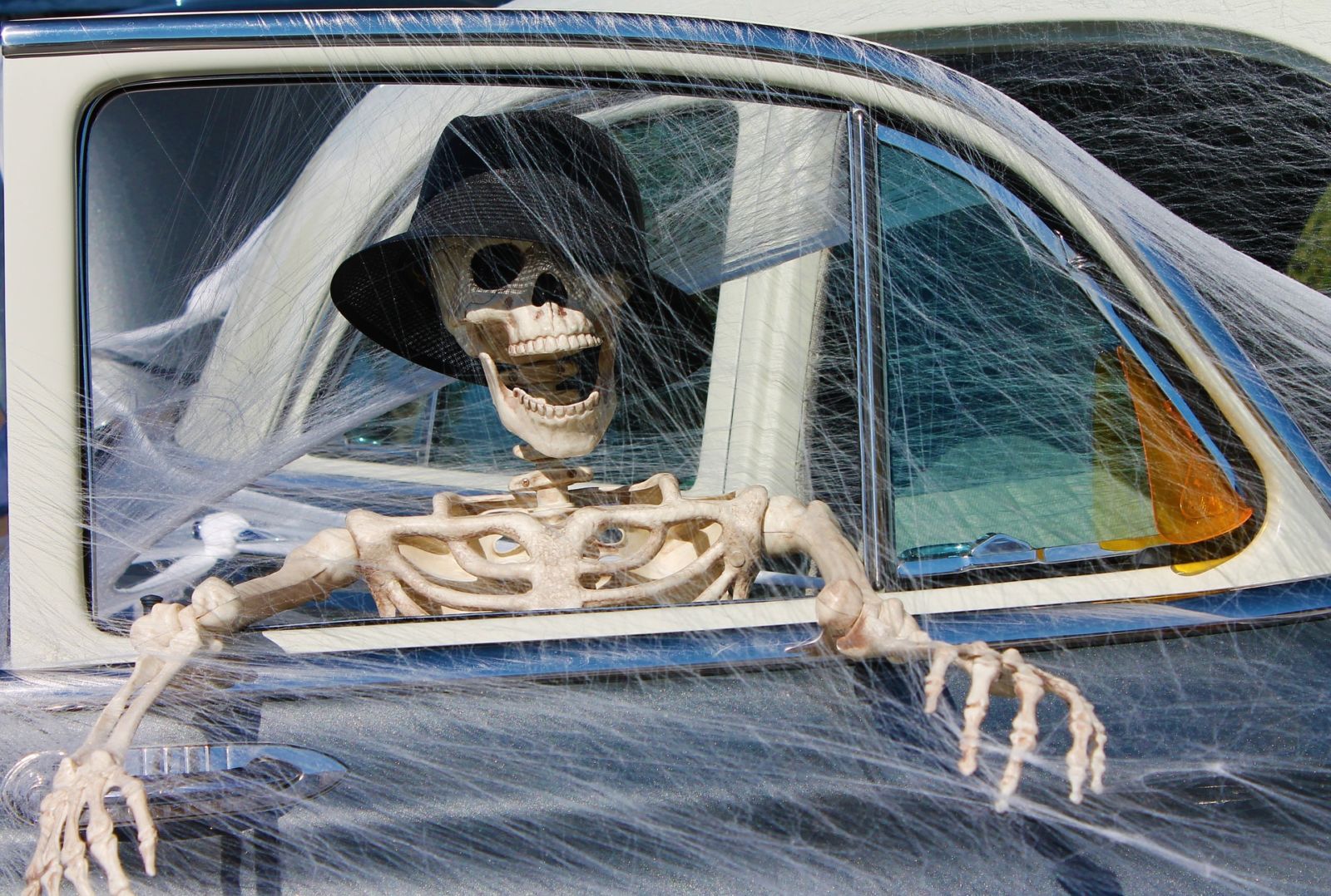 skeleton-1784621_1920