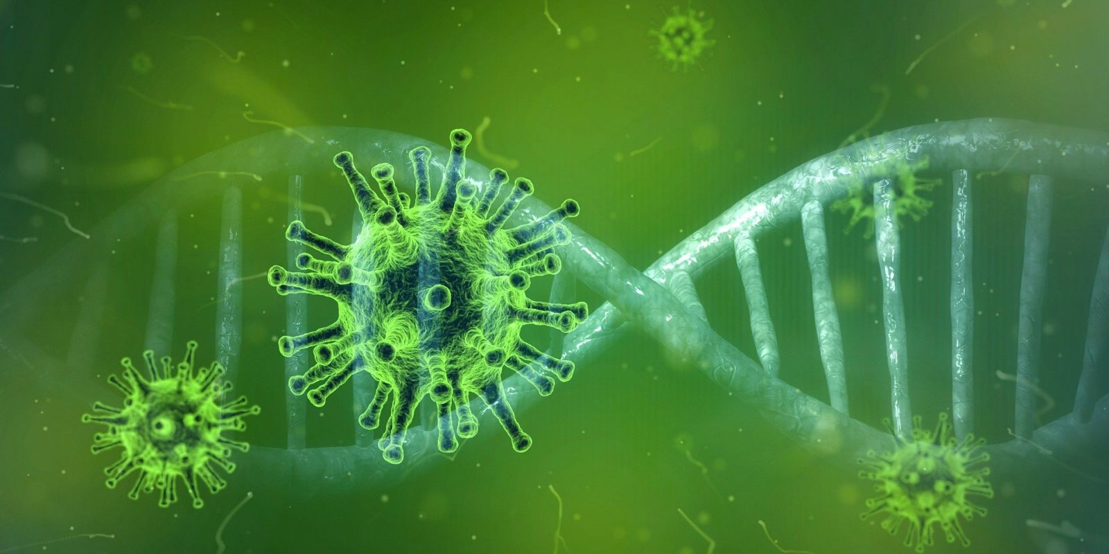 coronavirus in Nederland