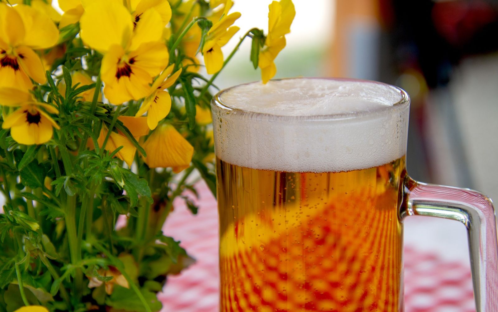 afvallen en alcohol drinken