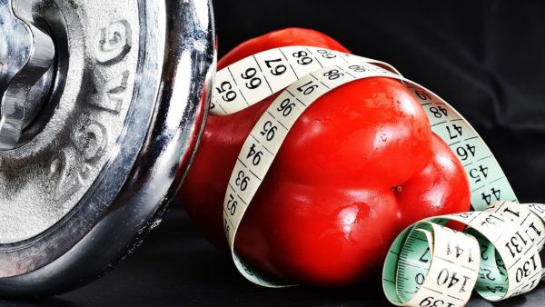 Exercise and slimming when do you burn fat