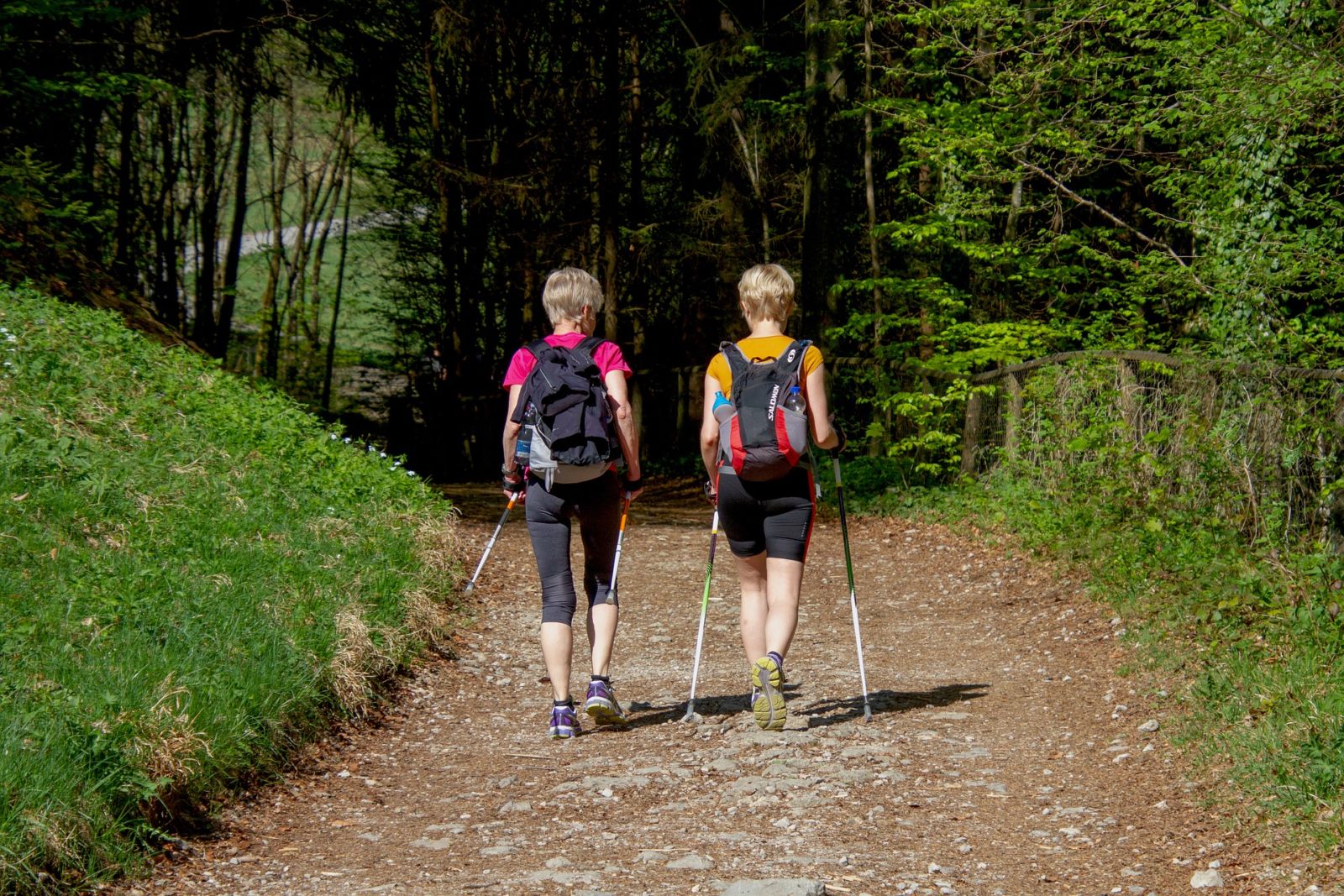 afvallen met wandelen